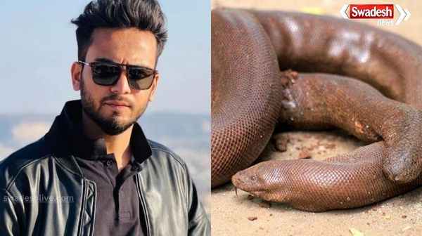 Case registered against YouTuber Elvish Yadav, what is the intoxication of snake venom, in which case FIR has been registered against Elvish Yadav